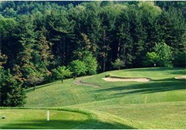 Sherrodsville Atwood Lake Resort & Golf Club מתקנים תמונה